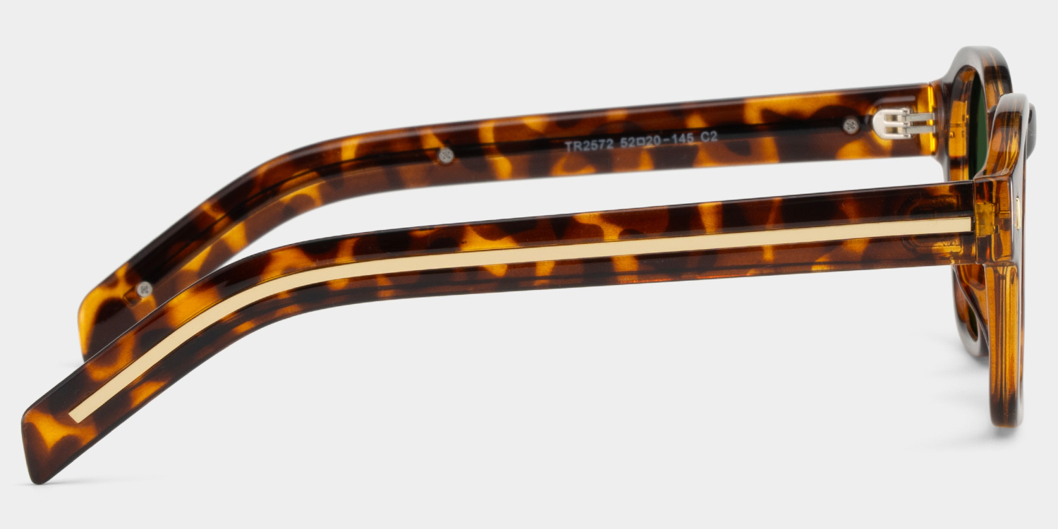 Leilani tortoise Frame Polarized Sunglasses with rectangle Style Online | ZEELOOL Canada3