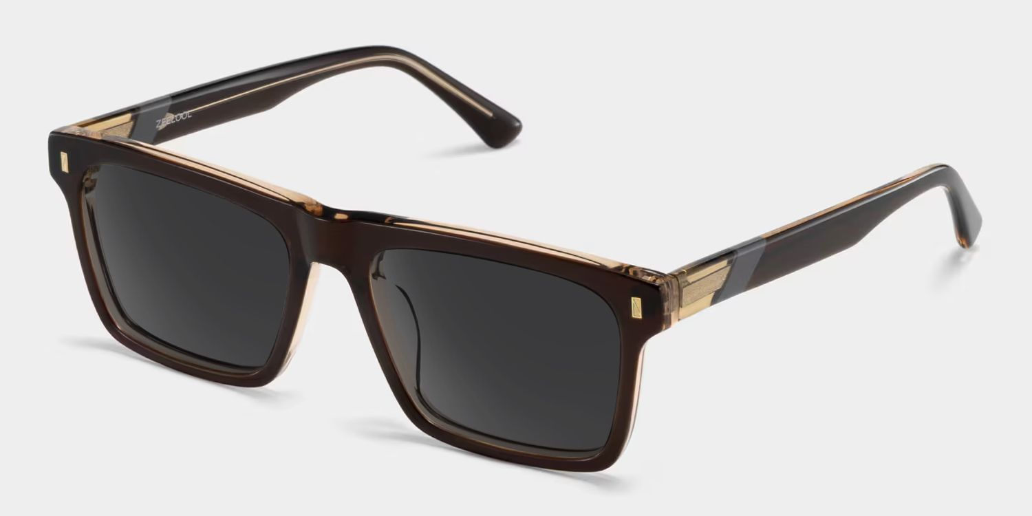 Henry Brown Rectangle Sunglasses to Frame Your Face | ZEELOOL CA2