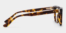 Michael Square Tortoise Glasses4