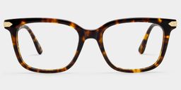 Thomas Rectangle Tortoise Glasses1