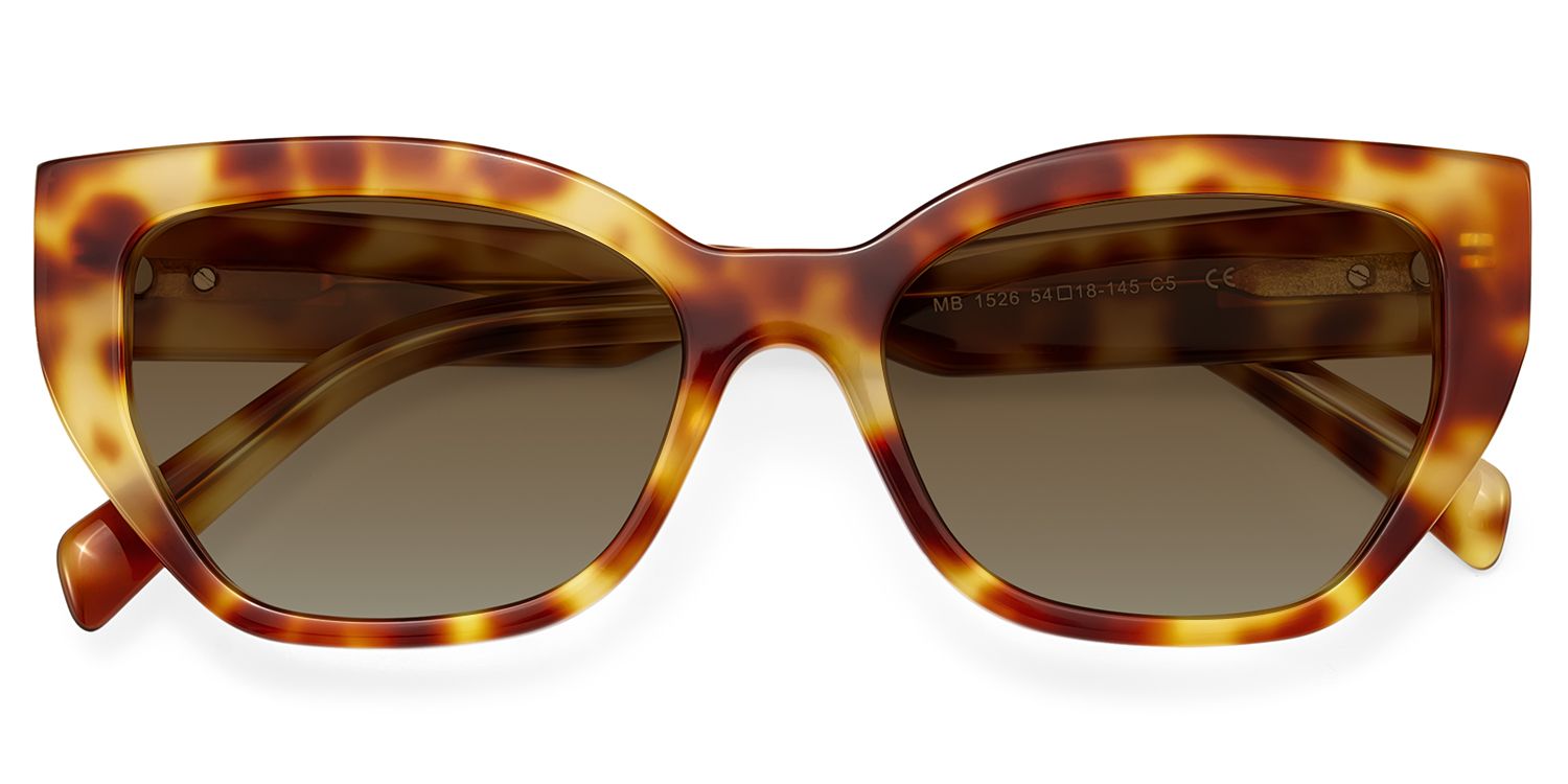 Zia tortoise Frame Polarized Sunglasses with cat-eye Style Online | ZEELOOL Canada1