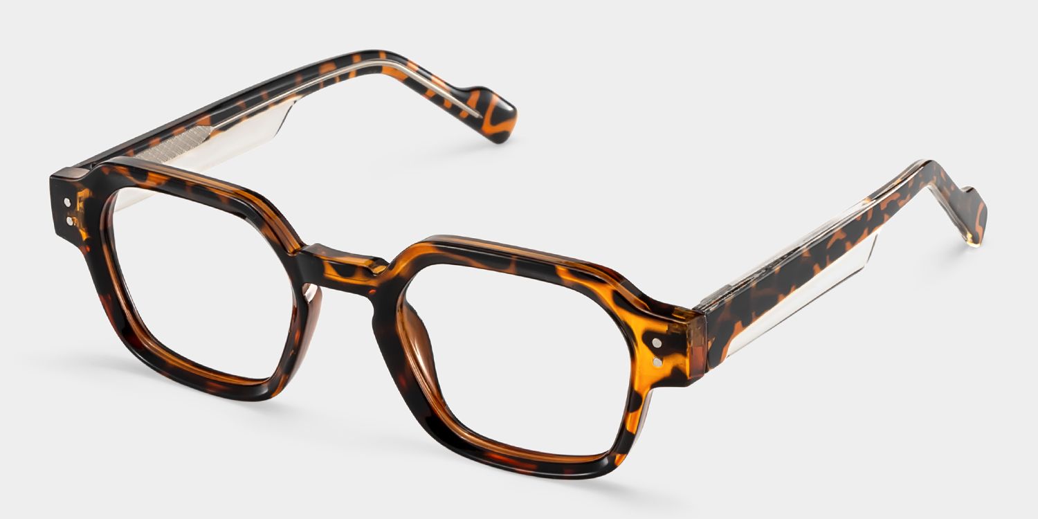 Joy Tortoise Frame Glasses with Geometric Frame Online | ZEELOOL3