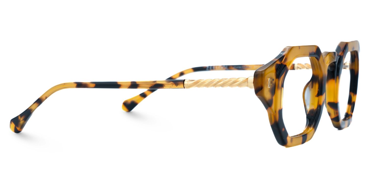 Buy Tortoise Hexagon Shape Spectacles Online | ZEELOOL Canada2