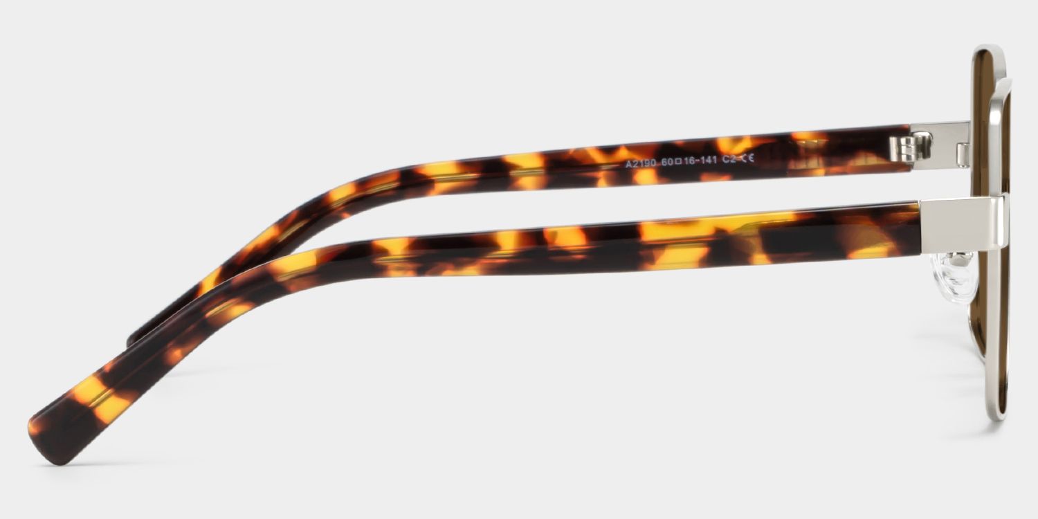 Sahara brown Frame Polarized Sunglasses with square Style Online | ZEELOOL Canada4