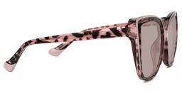 Fenn Multicolor Cat eye Sunglasses2