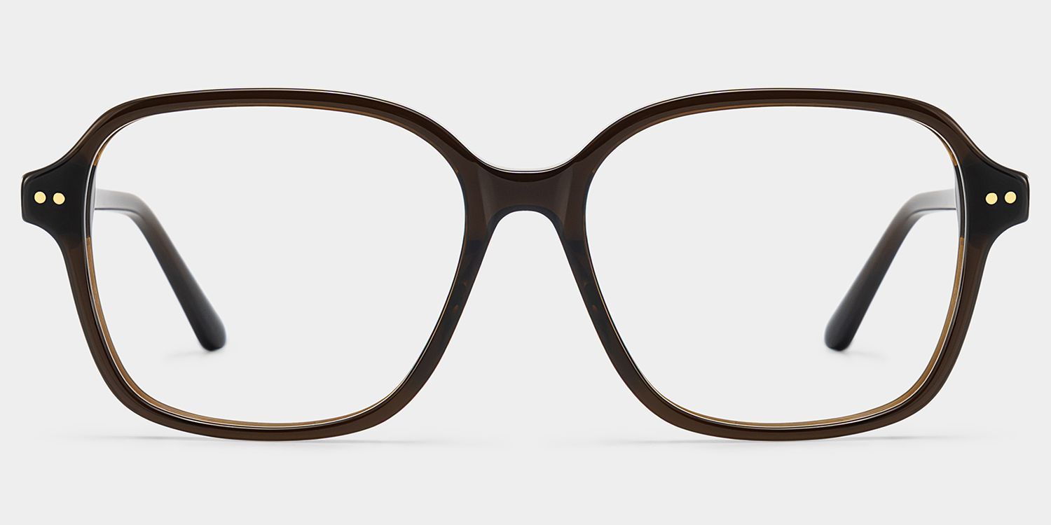 Clementine Chocolate Brown Square Glasses | ZEELOOL2