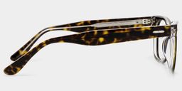 Robert Rectangle Tortoise Glasses4