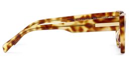 Zia Tortoise Cat eye Sunglasses3