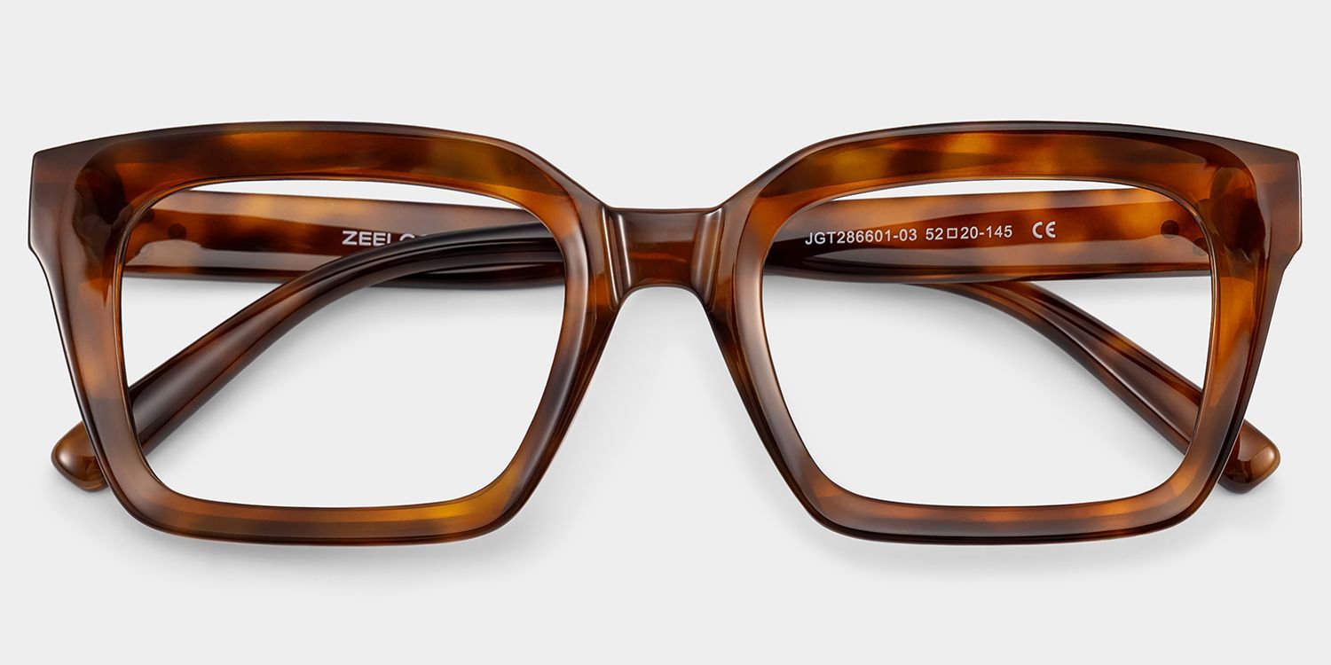 Marley Tortoise Eyeglasses with Rectangle Frames | ZEELOOL2