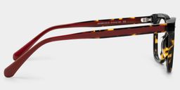 Angela Tortoise Rectangle Glasses3