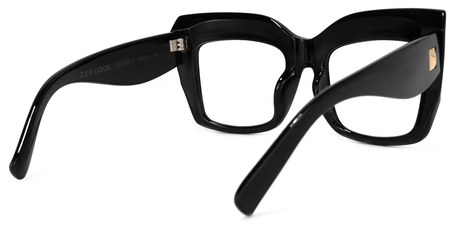 Alberta Cat Eye Black Oversized Thick Frame Glasses4