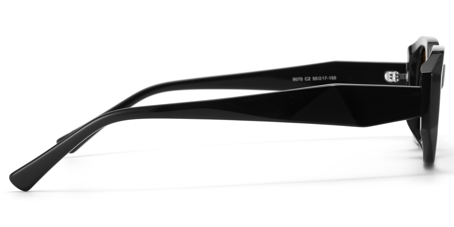 Kiara Black Geometric Sunglasses in TR90 Material3