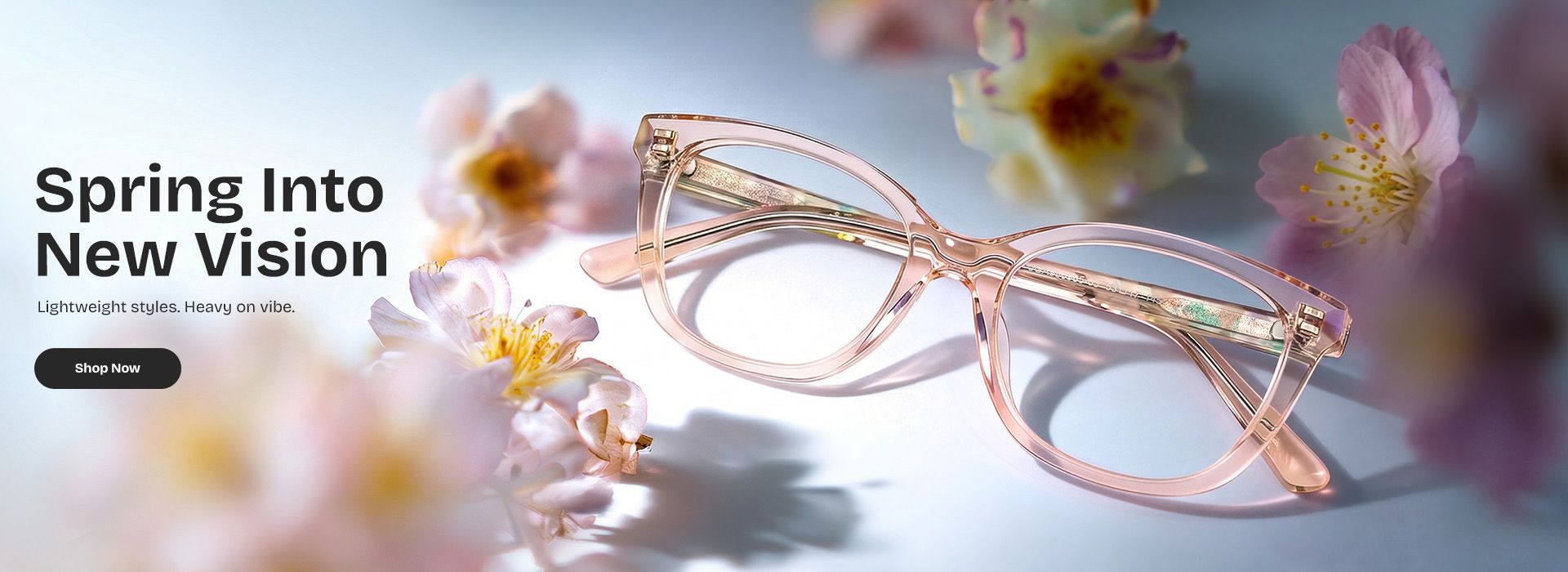 Zeelool optical eyeglasses online store TopBanner1
