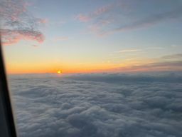 they were amazing, my dad love them a lot0