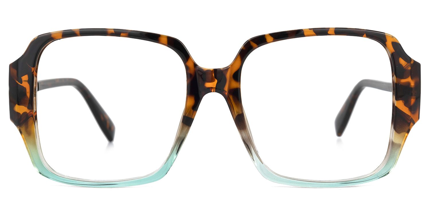 Colon Square Tortoise Glasses | ZEELOOL Canada0