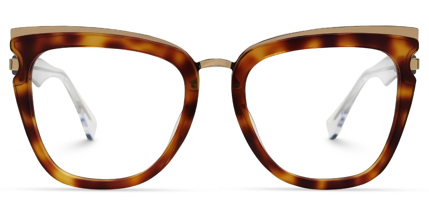 Vitez Square Tortoise Glasses | ZEELOOL Canada0