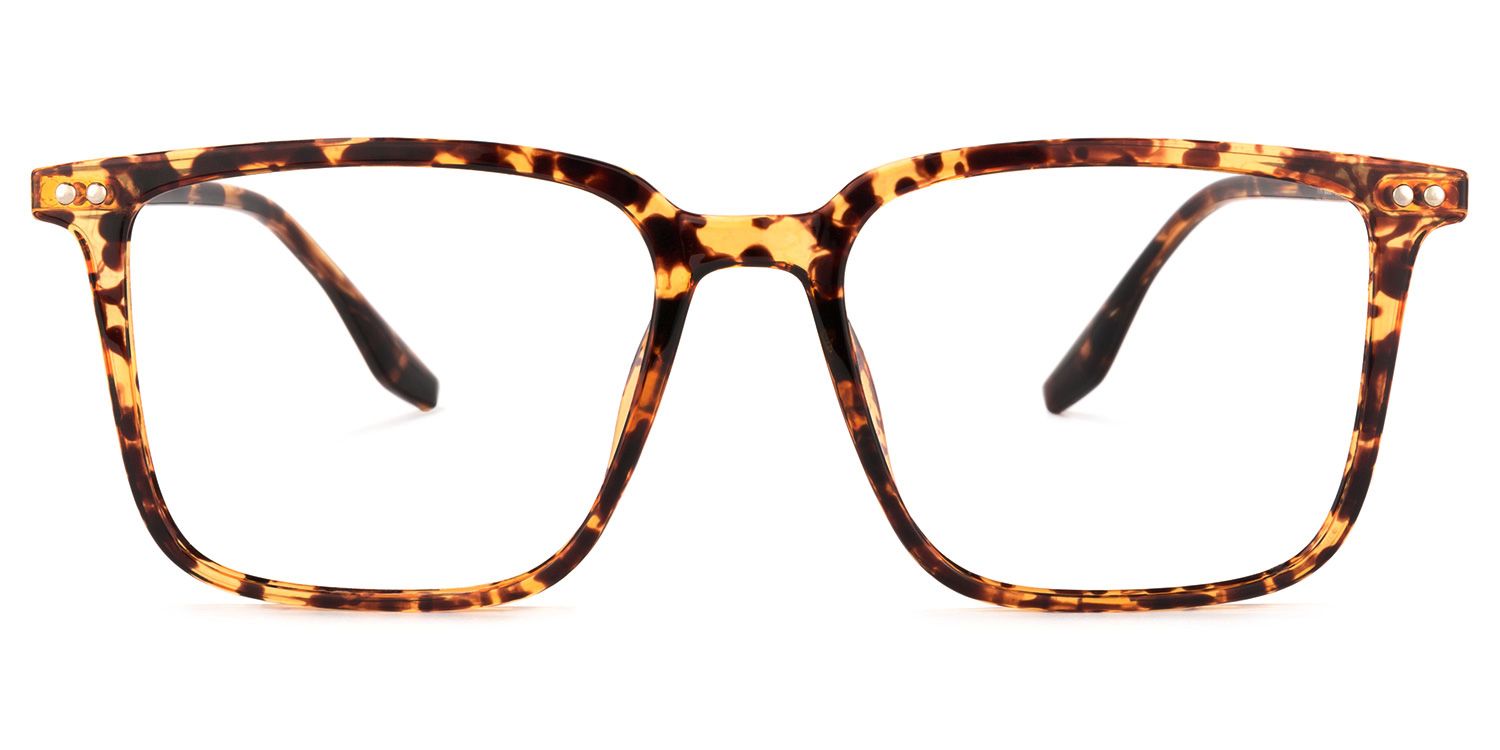 Tobias Square Tortoise Glasses | ZEELOOL Canada0