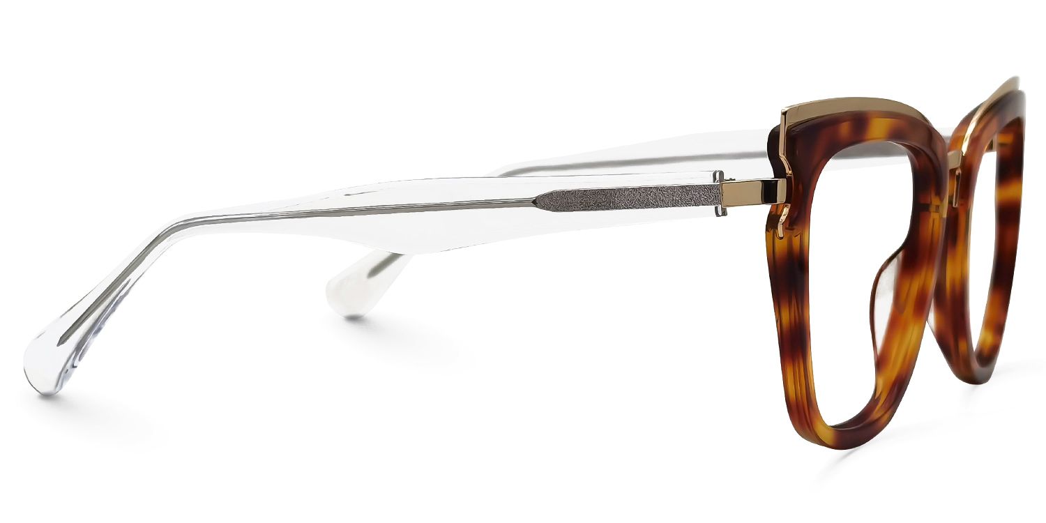 Vitez Square Tortoise Glasses | ZEELOOL Canada2