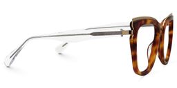 Vitez Square Tortoise Glasses2