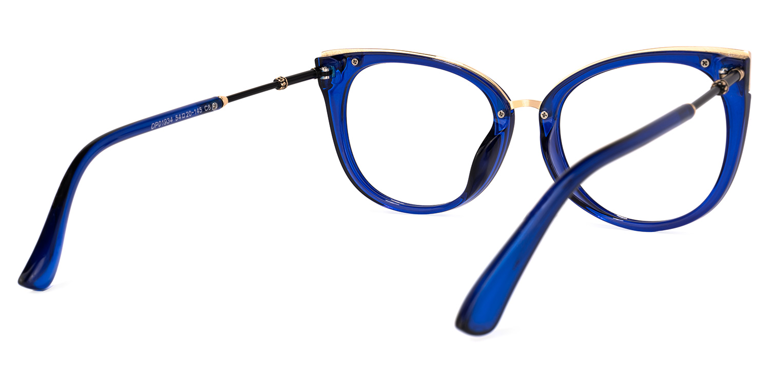 Dalton Cat Eye Blue Glasses4