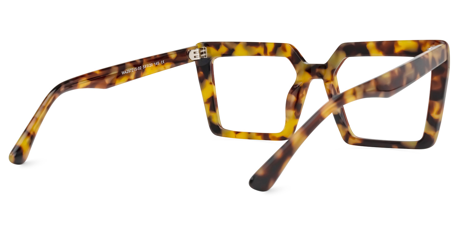 Nelisa Square Tortoise Glasses1