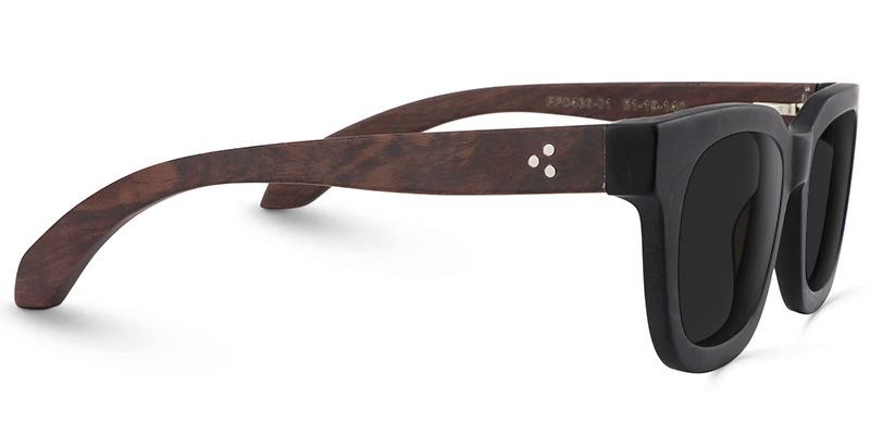 Sam Acetate Black Frame Sunglasses | ZEELOOL CA3