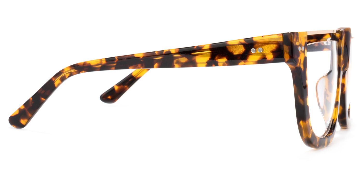 North Square Glasses | ZEELOOL Canada3