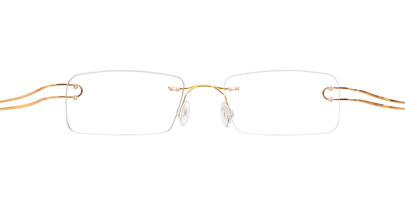 Skyler Rectangle Titanium Glasses  | ZEELOOL Canada2