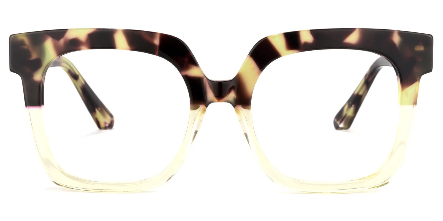 Dexter Square Tortoise Eyeglasses and Glasses Frames0