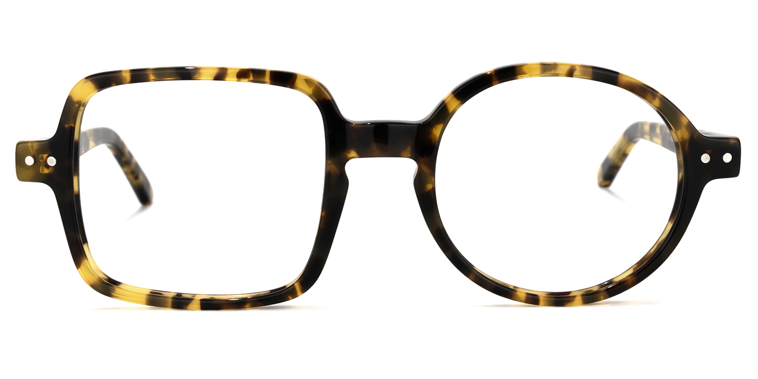 Tony Asymmetric Tortoise Glasses  | ZEELOOL Canada0