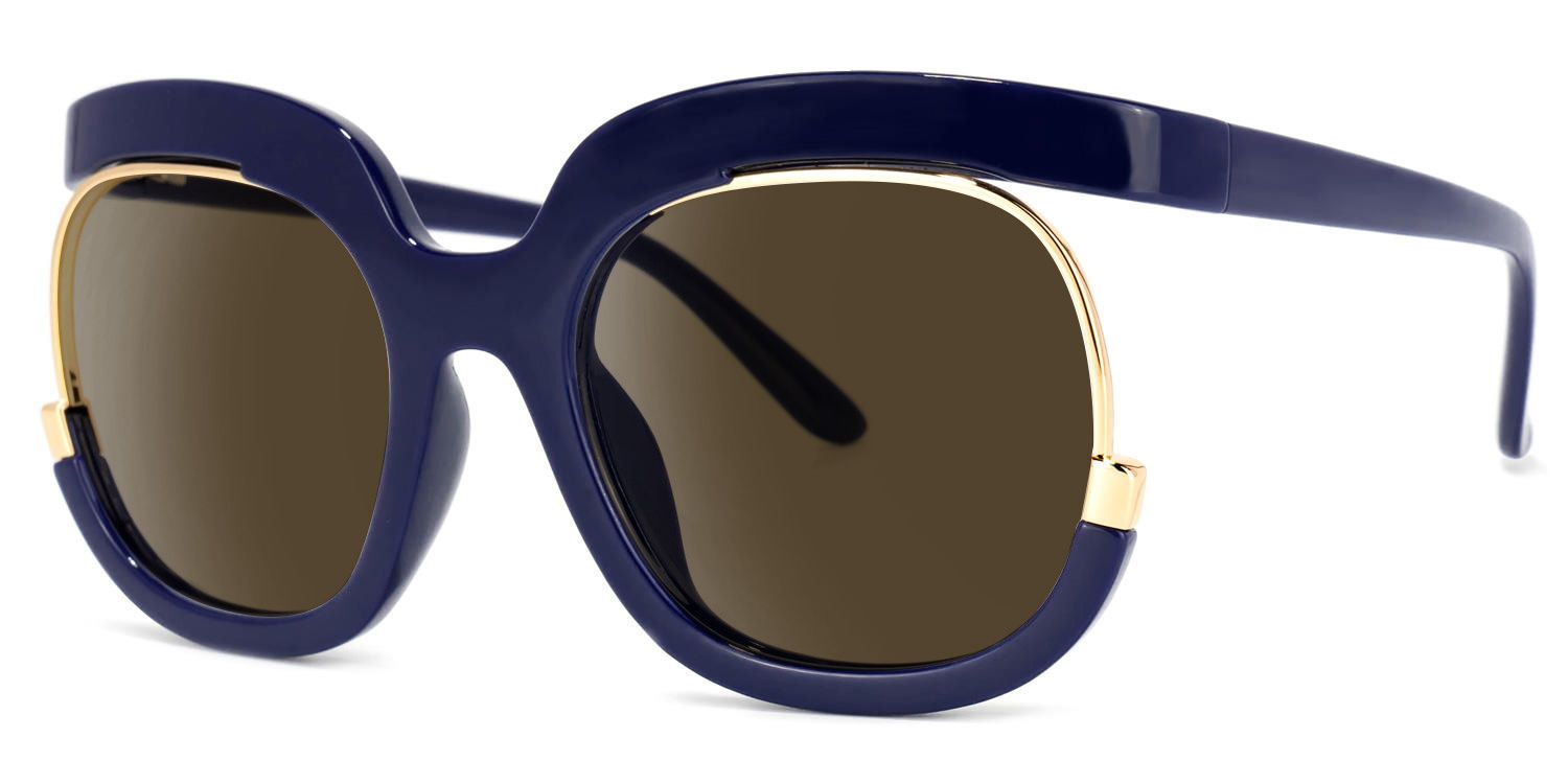 Darice Round Dark-Blue Sunglasses | ZEELOOL Canada1