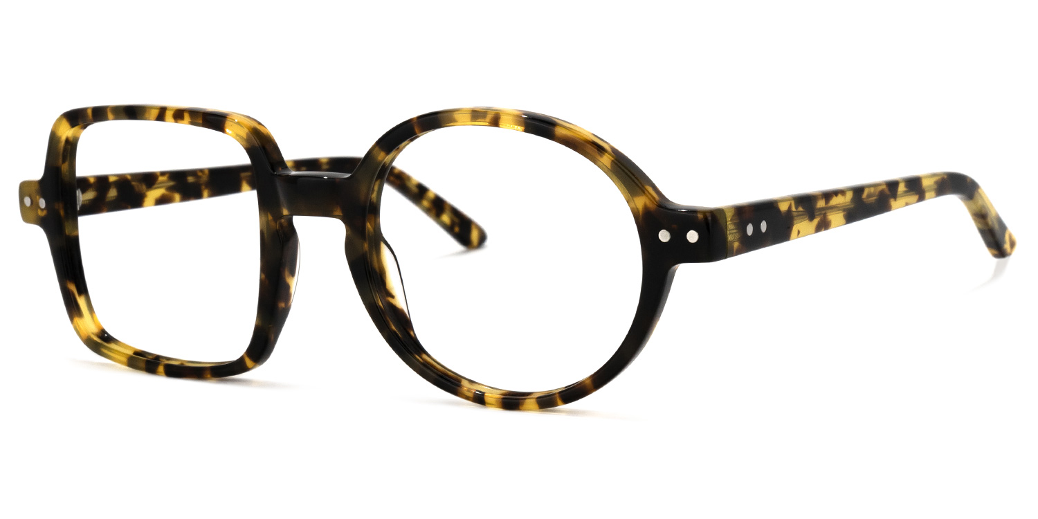 Tony Asymmetric Tortoise Glasses 1