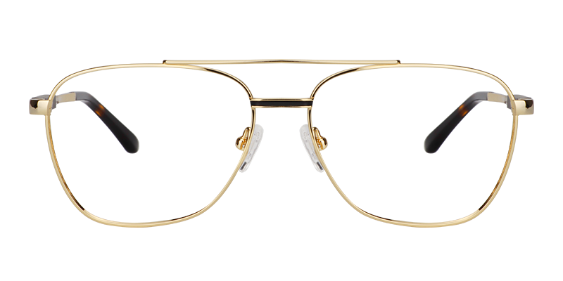 Aviator Gold Glasses | ZEELOOL Canada0