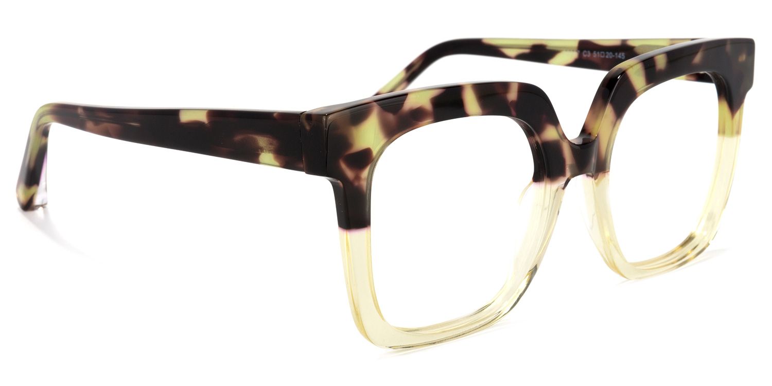 Dexter Square Tortoise Eyeglasses and Glasses Frames1