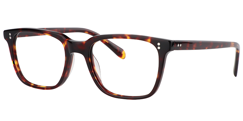Lamont Rectangle Tortoise Frame Glasses | ZEELOOL Canada2