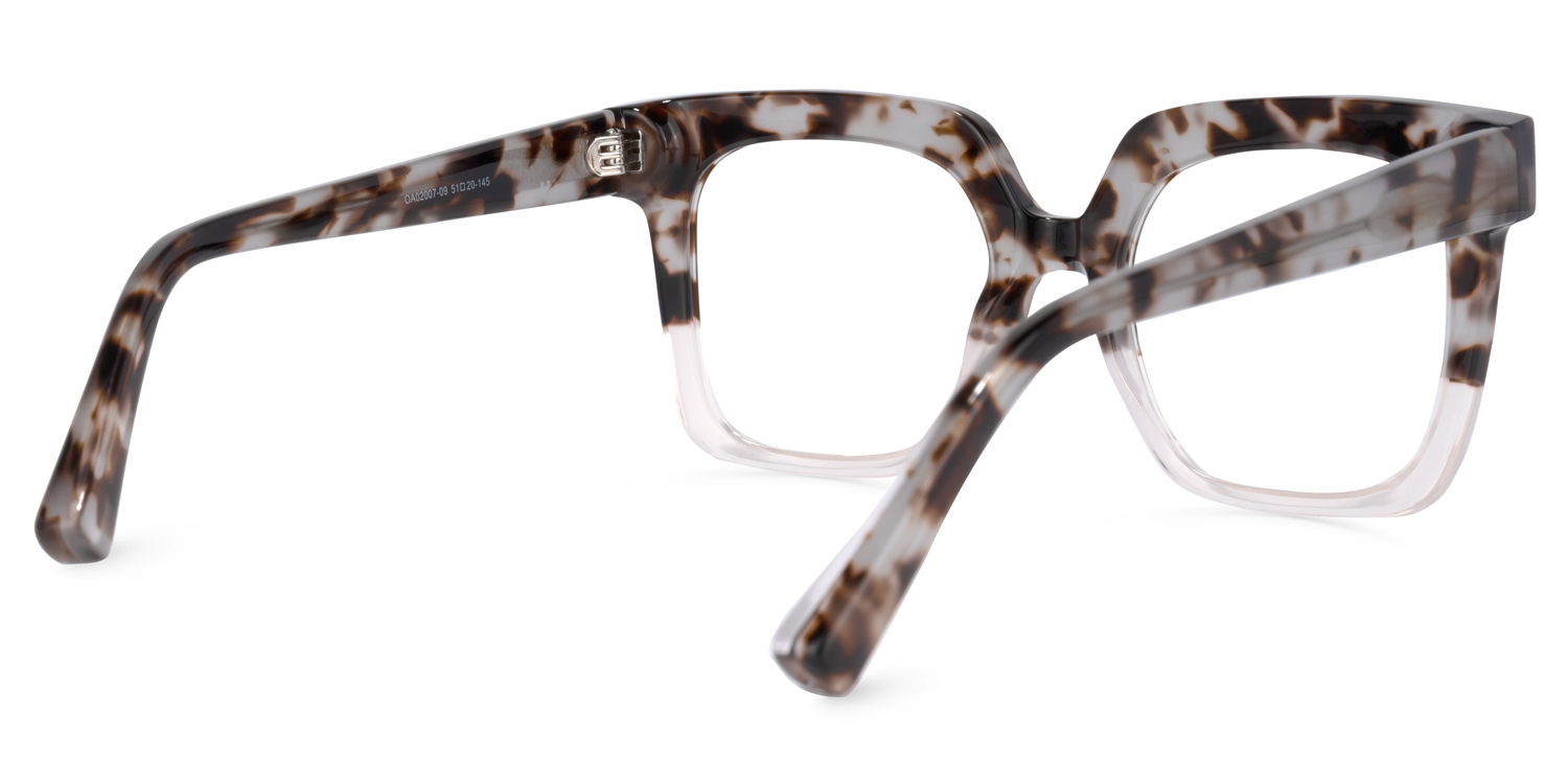 Dexter Square Light-Tortoise Glasses | Zeelool Glasses3