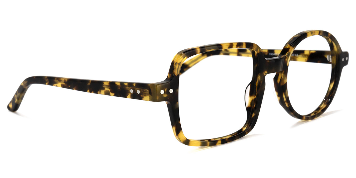 Tony Asymmetric Tortoise Glasses 2