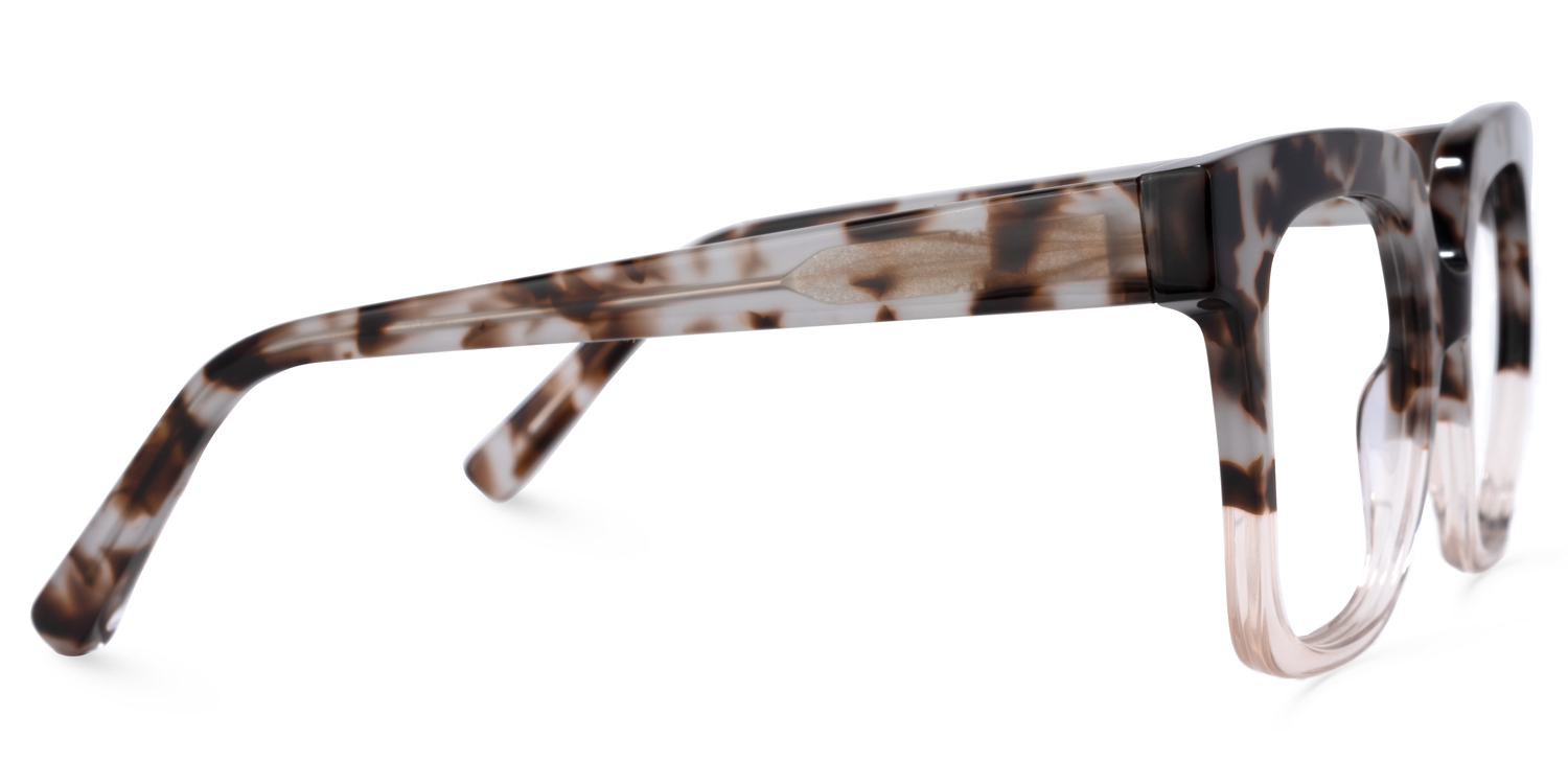 Dexter Square Light-Tortoise Glasses2
