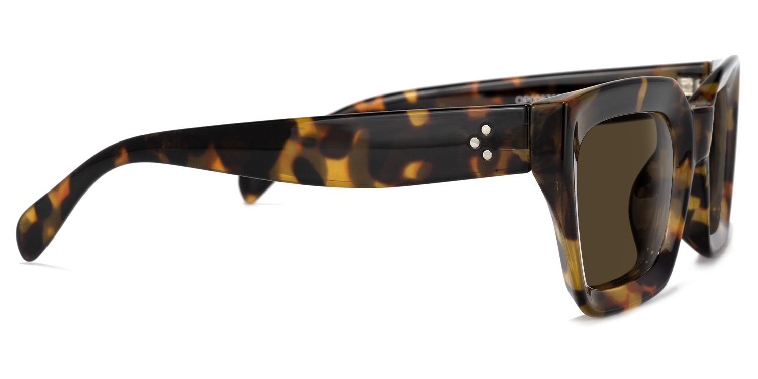 Nevaeh Square Tortoise Sunglasses2