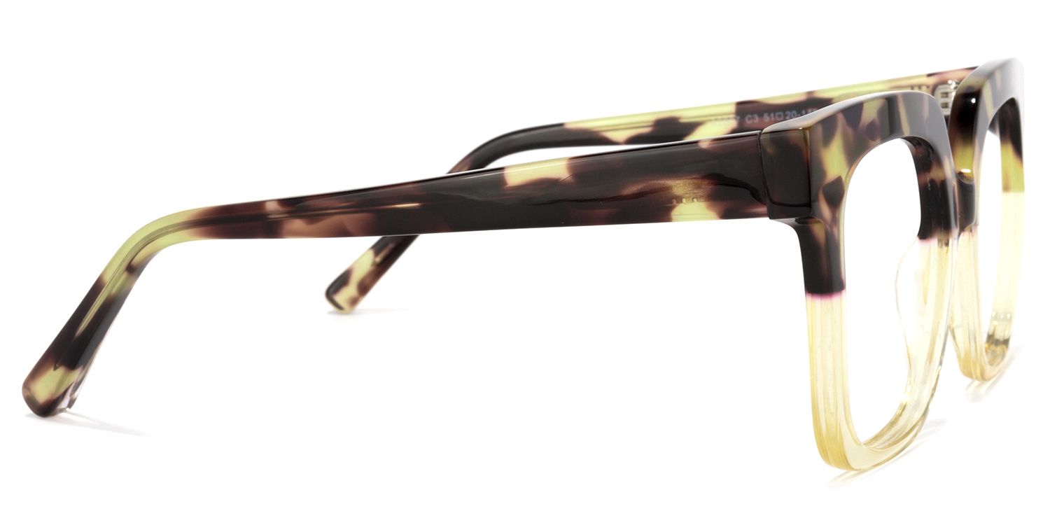 Dexter Square Tortoise Eyeglasses and Glasses Frames3