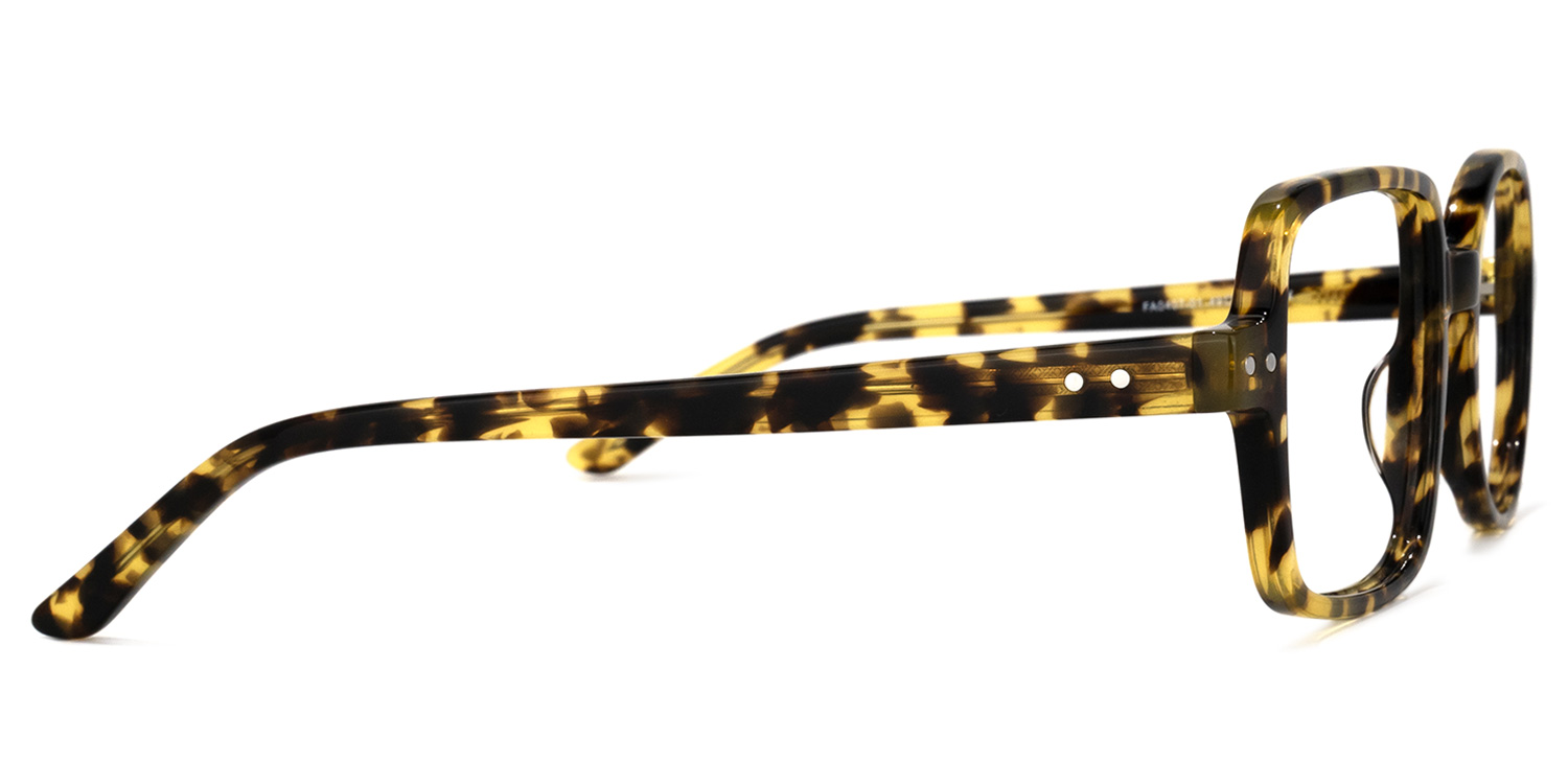 Tony Asymmetric Tortoise Glasses 3