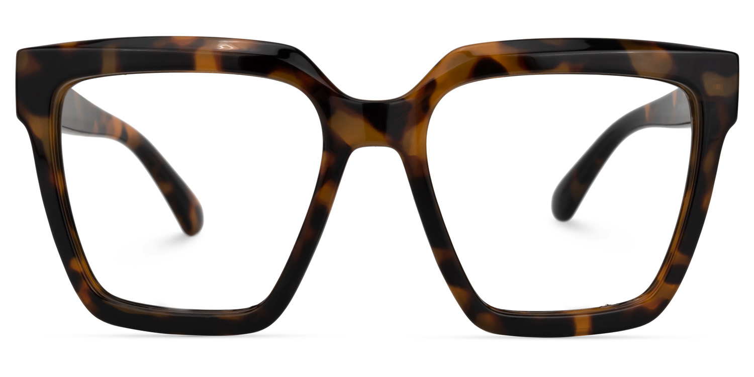 Coleman Square Tortoise Glasses | ZEELOOL Canada0