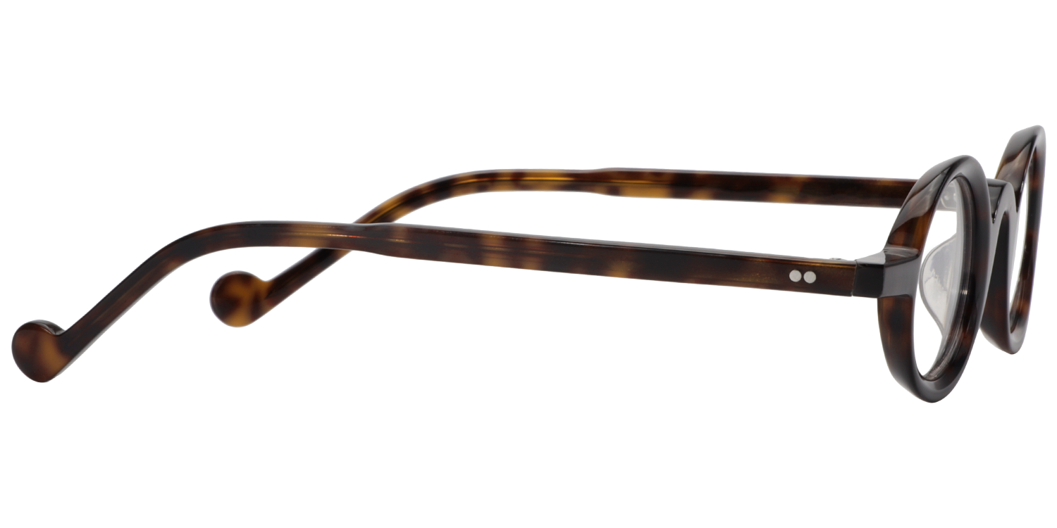 Fallon Round Tortoise Glasses4