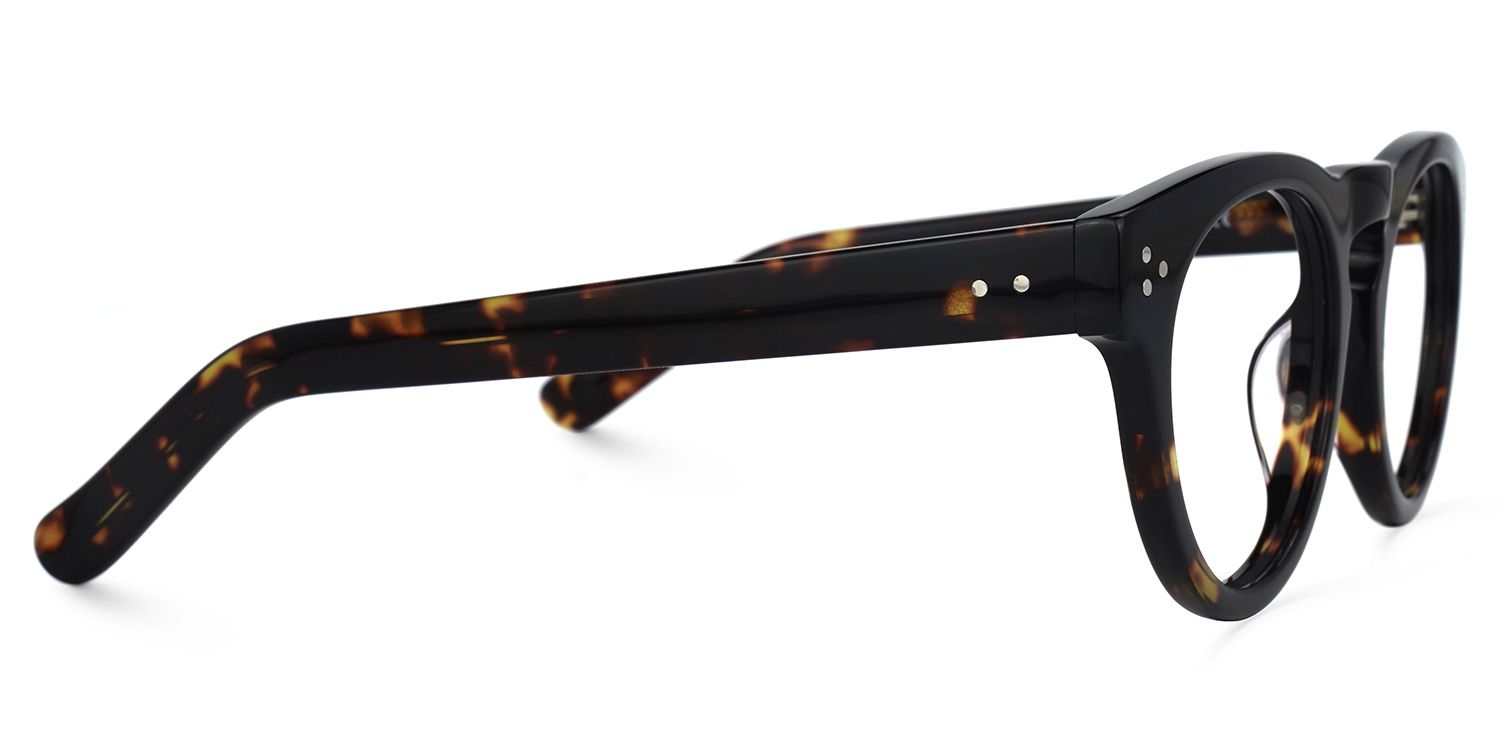 Malloy Round Black and Tortoise Eyeglasses and Frames2
