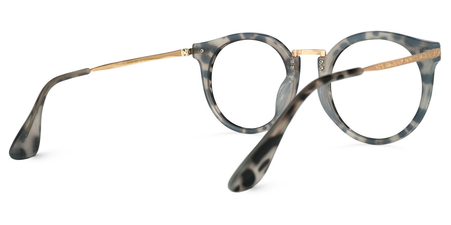 Quentina Round Gray Glasses and Tortoise Frames3