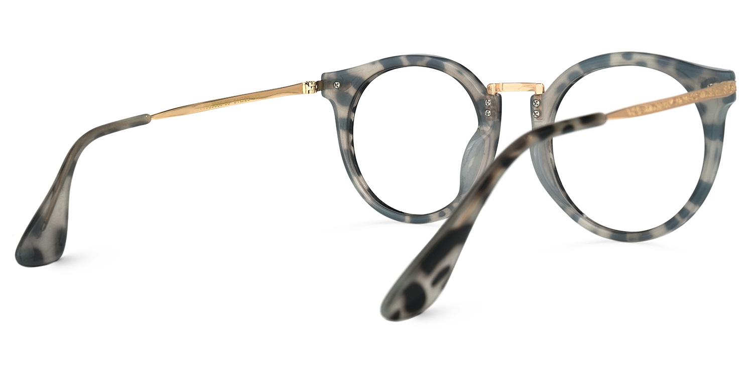Quentina Round Gray Glasses and Tortoise Frames3