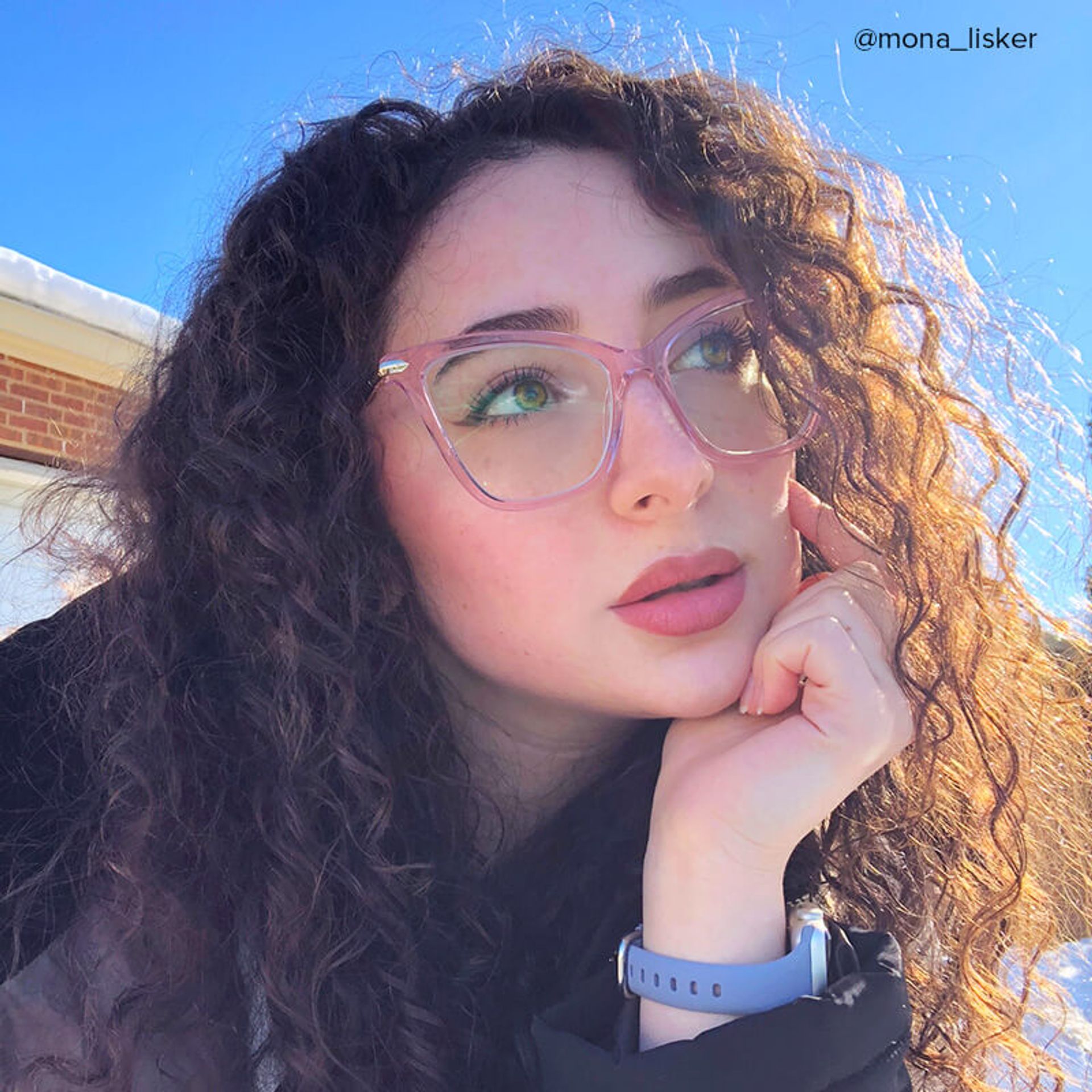 Hilary Butterfly Light Pink Transparent Eyeglasses5