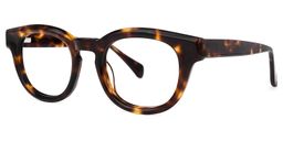Luanda Oval Tortoise Glasses1