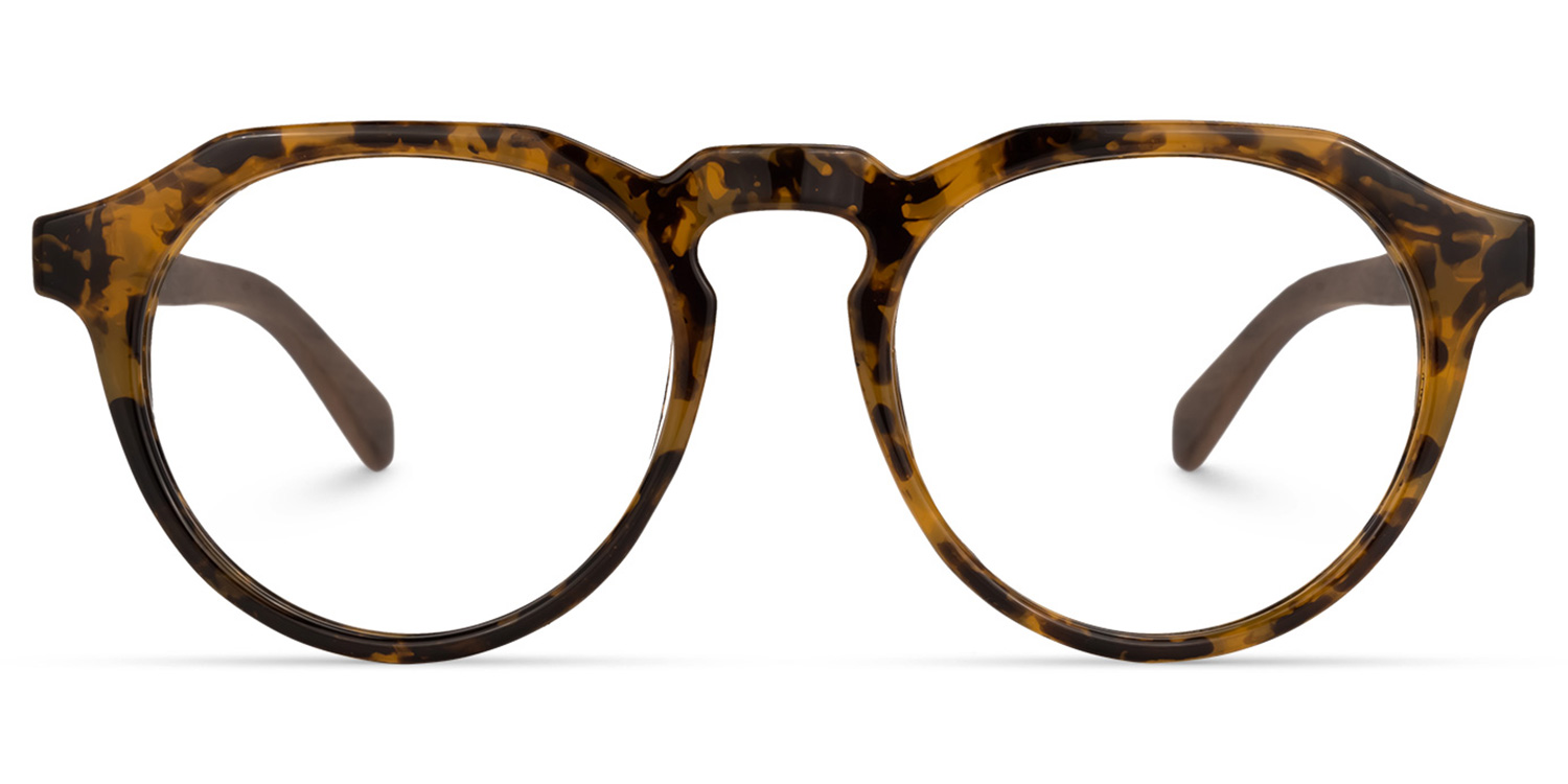 Allende Tortoise Brown Glasses0