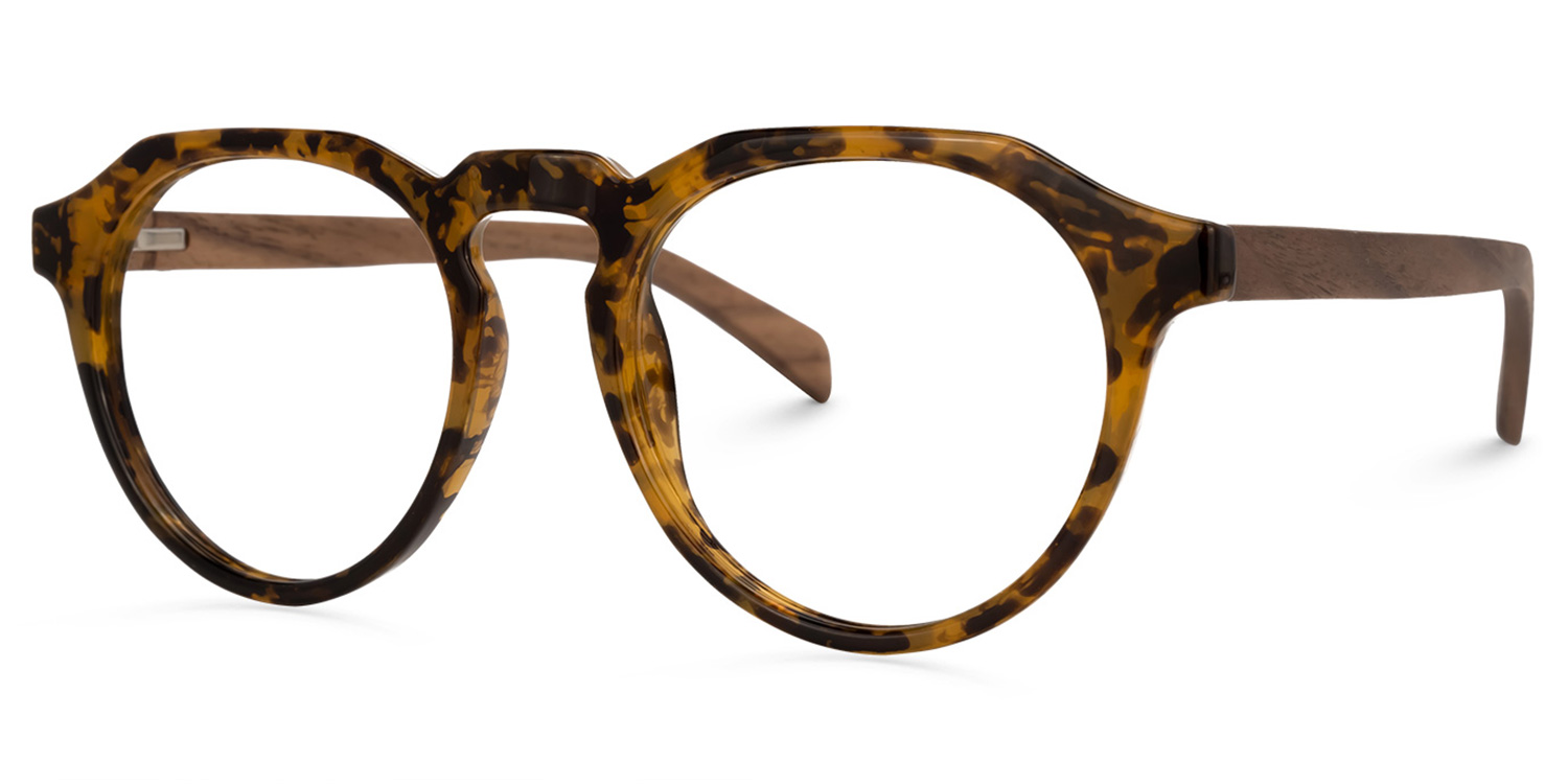 Allende Tortoise Brown Glasses | ZEELOOL Canada1